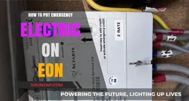 Emergency Electric: Eon's Quick Power Solution