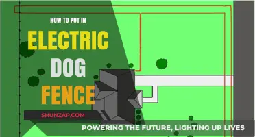 Electric Dog Fence Installation: A Step-by-Step Guide