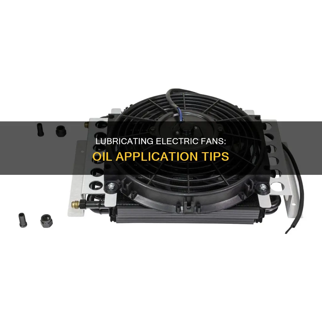 how to put oil in electric fan