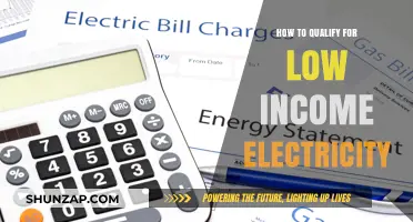Subsidized Electricity: Who Qualifies and How to Apply