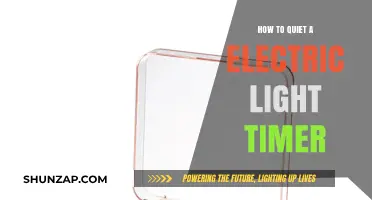 Electric Light Timer: Quieting the Tick