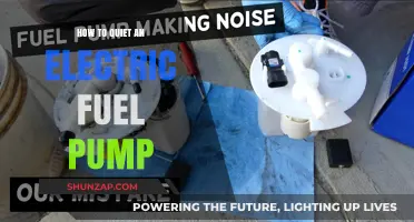Silence Your Electric Fuel Pump: Tips and Tricks