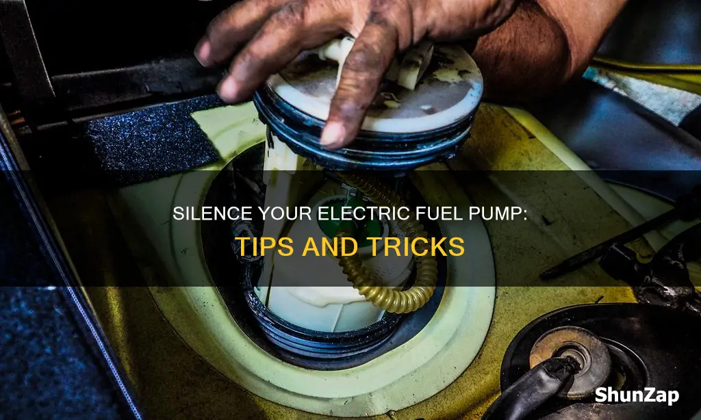 how to quiet an electric fuel pump