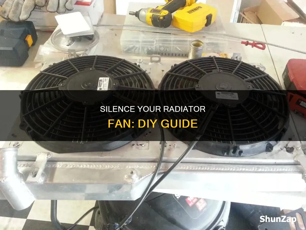 how to quiet noisey electric radiator fan