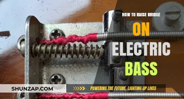 Adjusting Electric Bass Bridges: Raising the Bridge for Better Tone