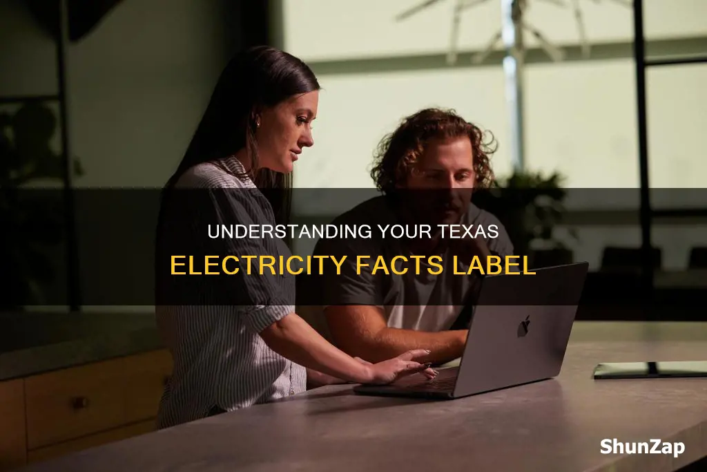 how to read electricity facts label texas