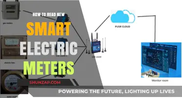 Smart Electric Meters: Reading Your New Device