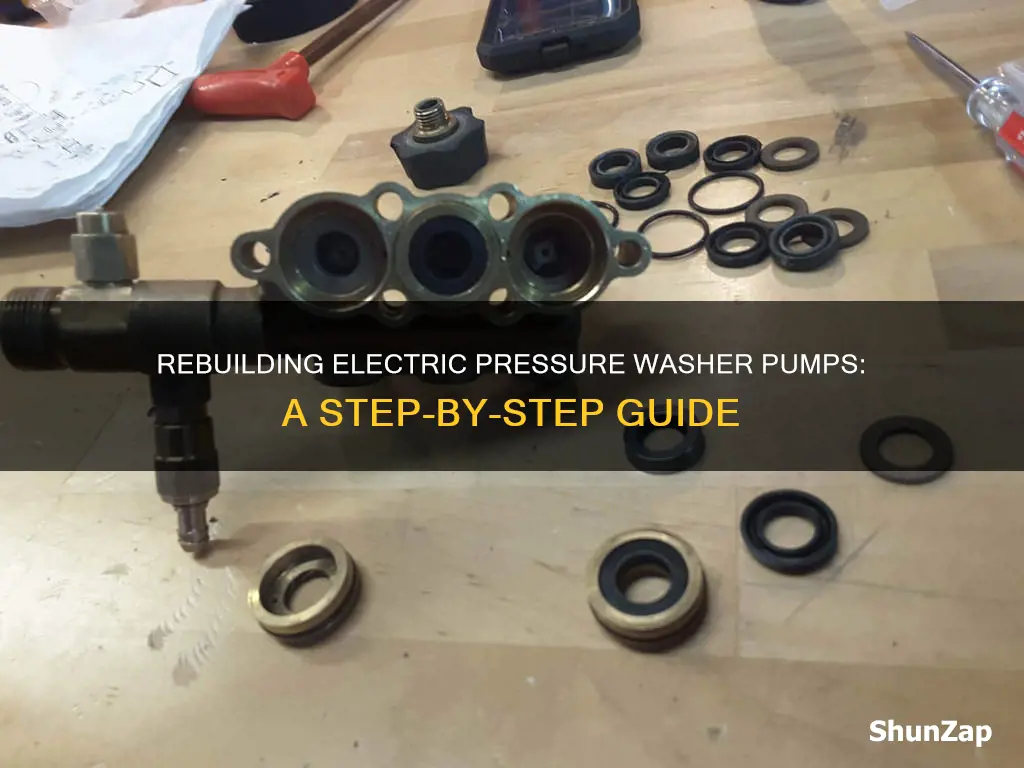 how to rebuild electric pressure washer pump
