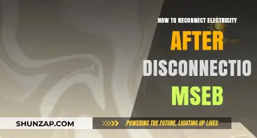 Reconnecting Electricity: MSEB's Quick Guide to Restoring Power