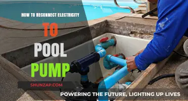 Reconnecting Your Pool Pump: A Step-by-Step Guide