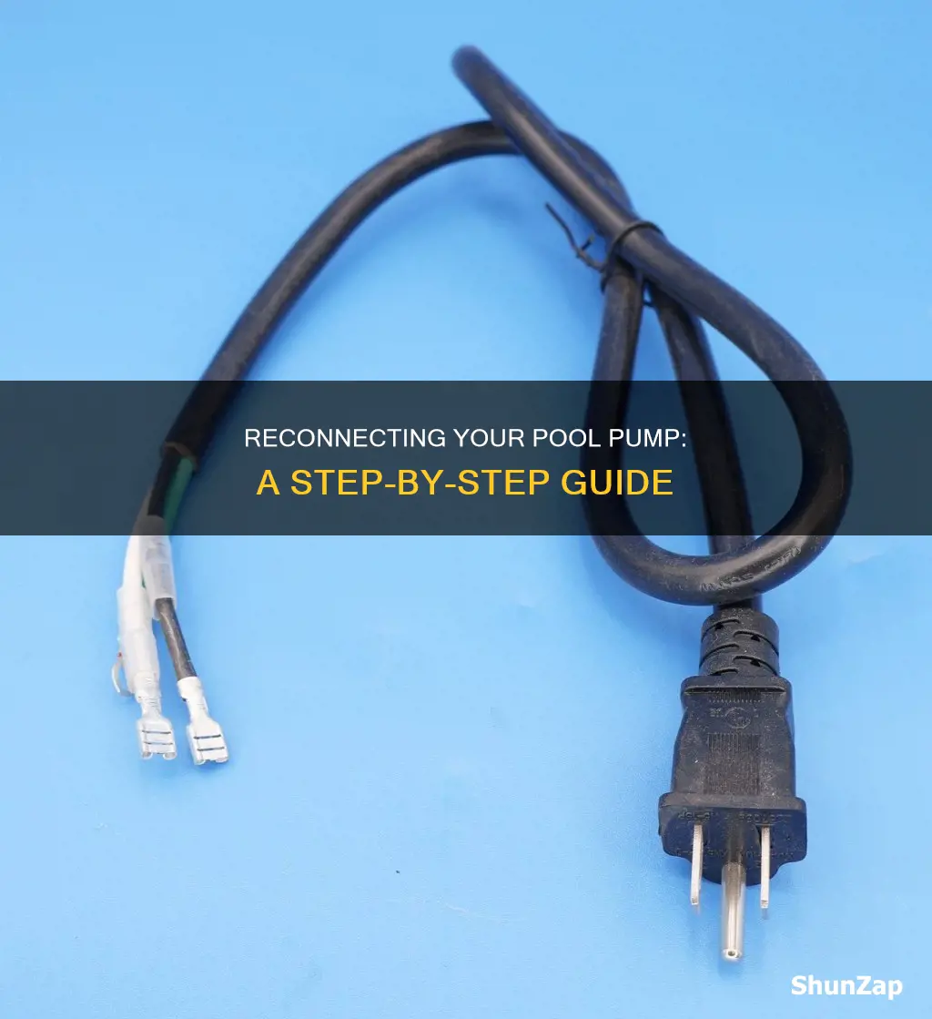 how to reconnect electricity to pool pump