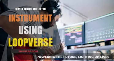 Capturing Sound: A Guide to Recording Electric Instruments with Loopverse