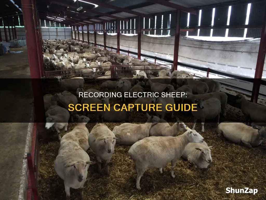 how to record electric sheep on screen