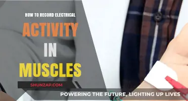 Electromyography: Recording Muscle Electrical Activity