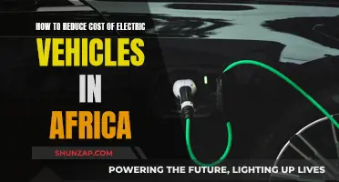 Electric Vehicles in Africa: Reducing Costs, Increasing Accessibility