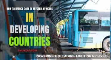 Unlocking EV Affordability: Strategies for Developing Nations