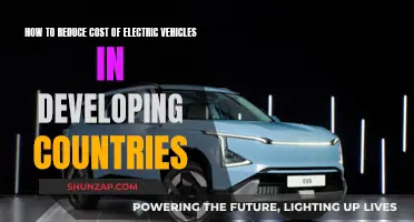 Electric Vehicles: Affordable, Accessible, and Developing Nations' Future