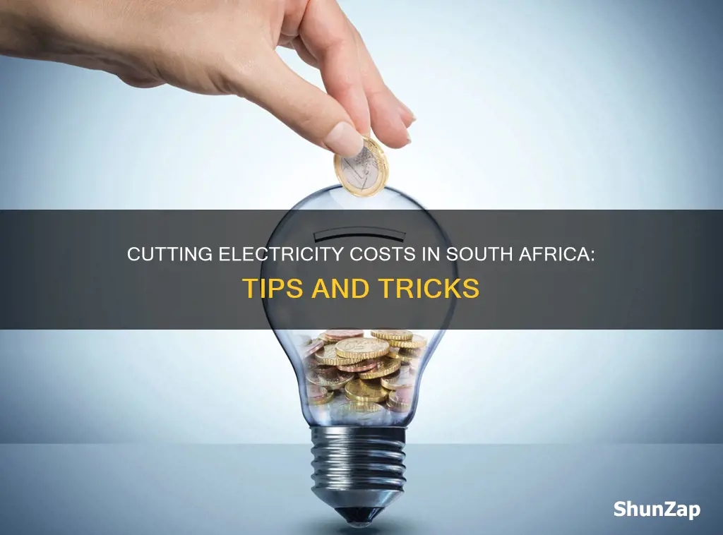 how to reduce electricity cost south africa