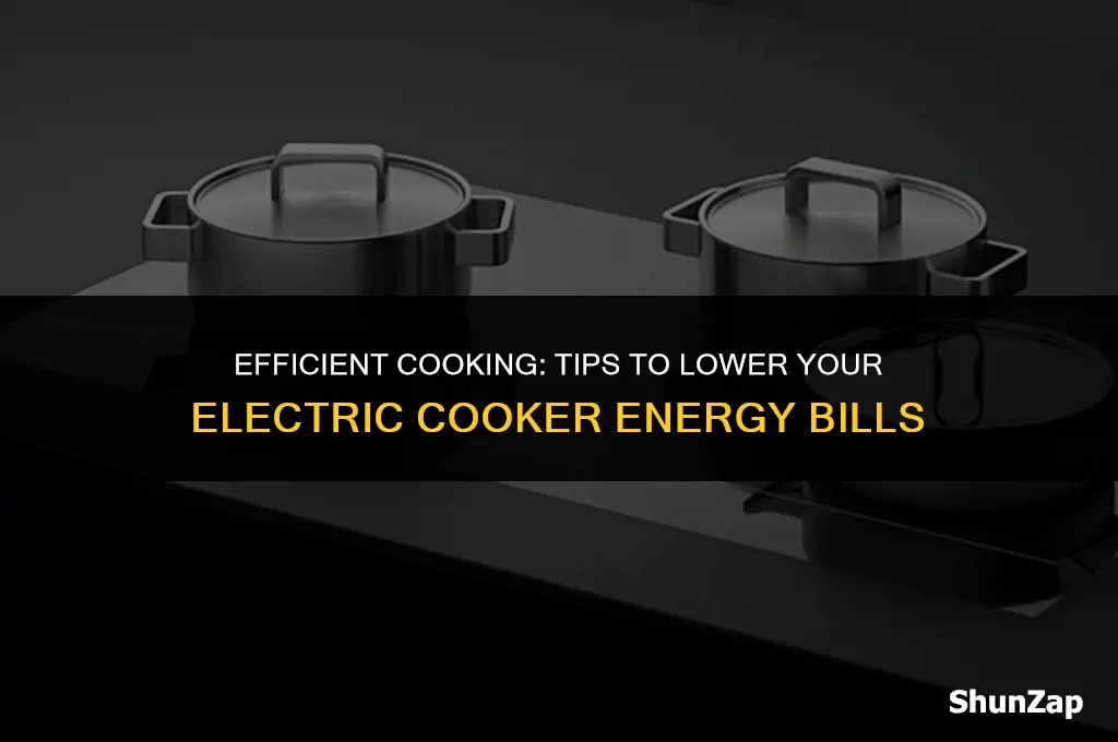 how to reduce energy costs when using an electric cooker