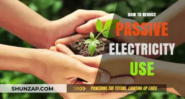 Eco-Friendly Habits: Cutting Down on Passive Electricity Use