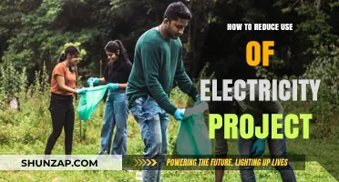 Eco-Friendly Living: Practical Tips to Slash Your Electricity Usage