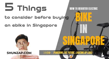 Registering Your Electric Bike: A Guide for Singapore Riders