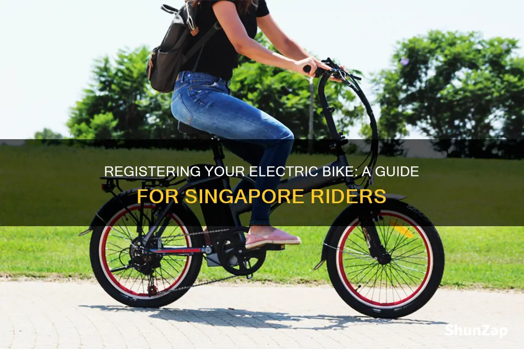 how to register electric bike in singapore