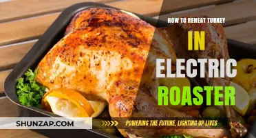 The Best Way to Reheat Turkey Using an Electric Roaster