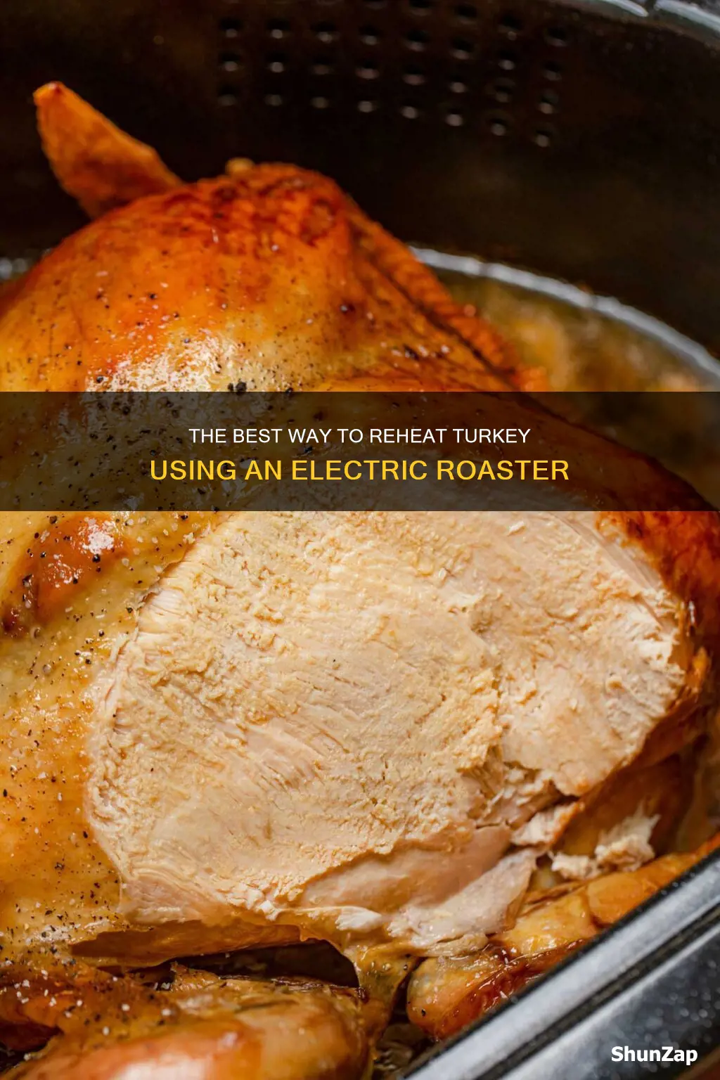 how to reheat turkey in electric roaster