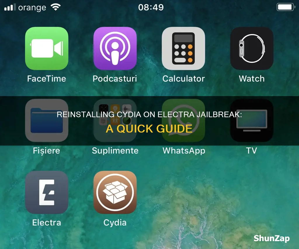 how to reinstall cydia on electra jailbreak
