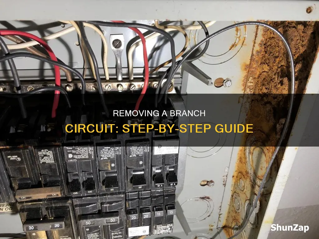 how to remove a branch electrical circuit