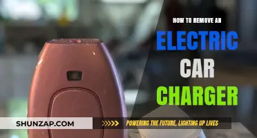 Step-by-Step Guide to Safely Removing Your Electric Car Charger