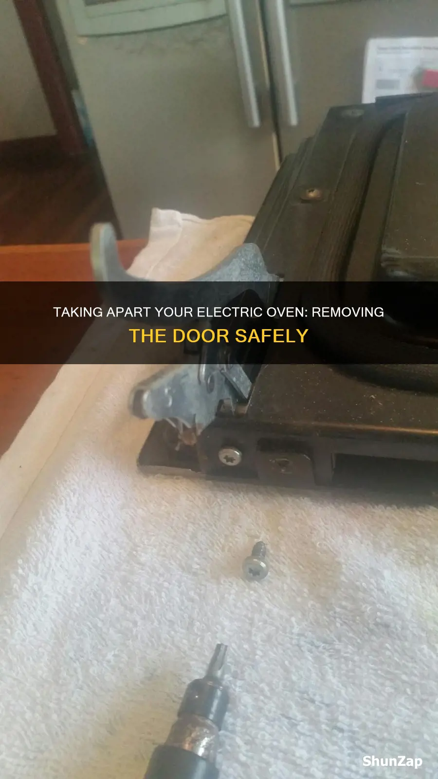 how to remove an electric oven door
