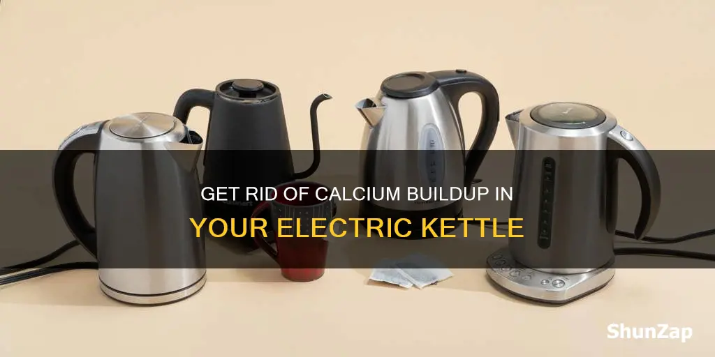 how to remove calcium from electric kettle