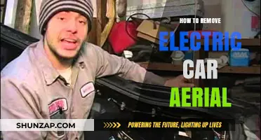 Step-by-Step Guide to Safely Removing Your Electric Car Aerial