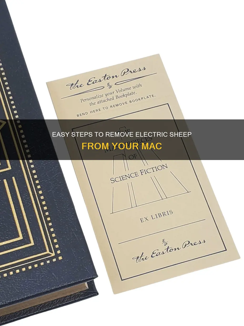 how to remove electric shee from mac