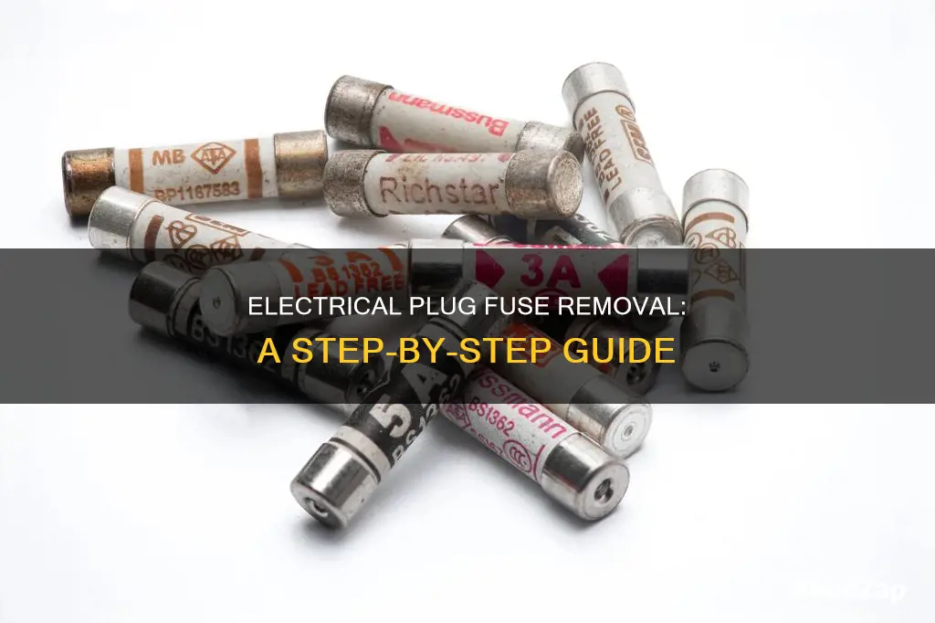 how to remove fuse from electrical plug