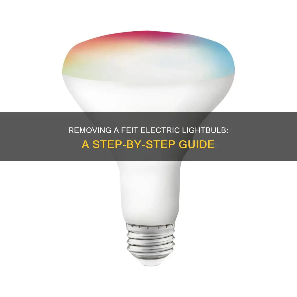 how to remove lightbulb from feit electric