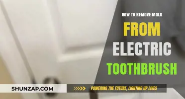 Effective Ways to Remove Mold from Electric Toothbrushes