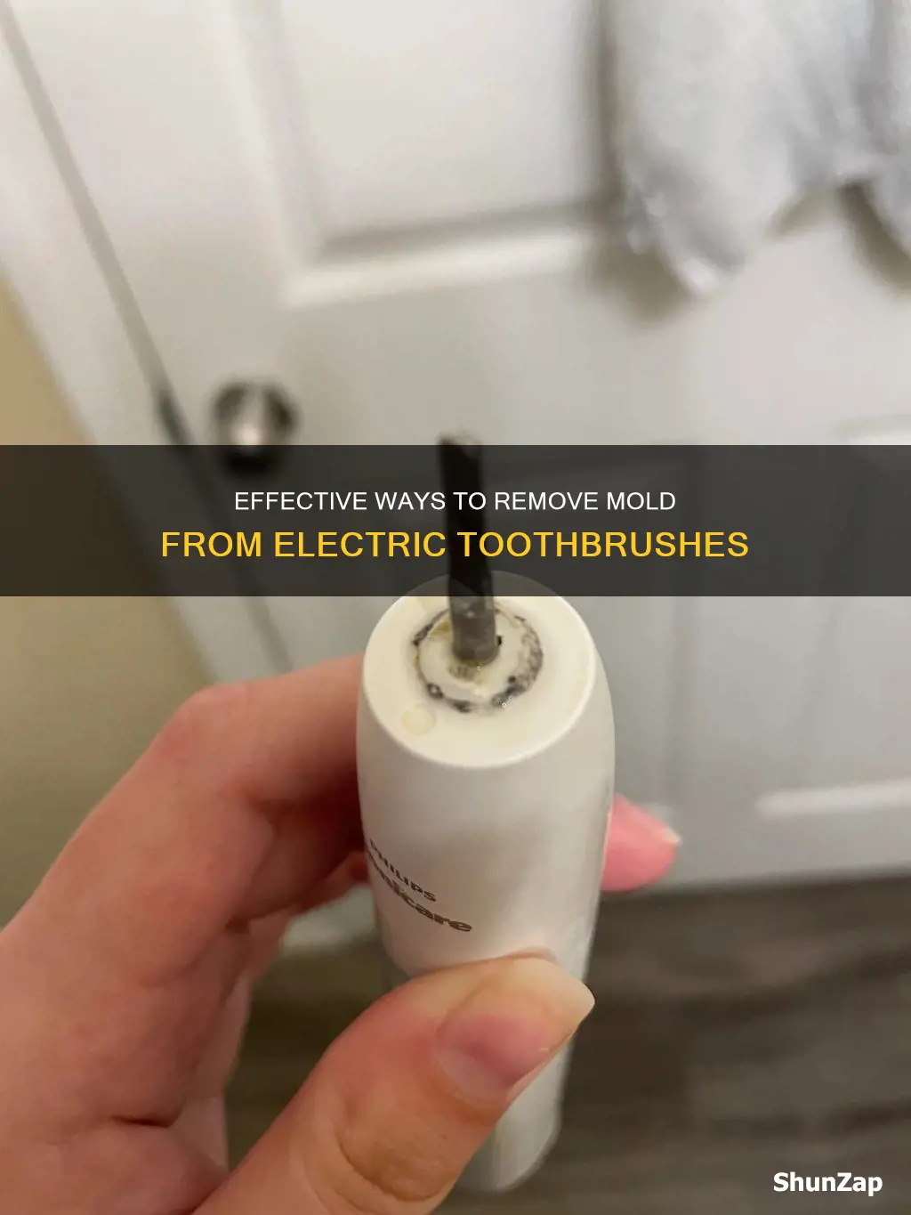 how to remove mold from electric toothbrush
