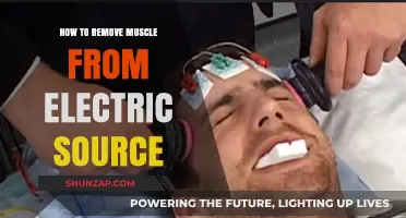 Untangling Muscle from Electric Sources
