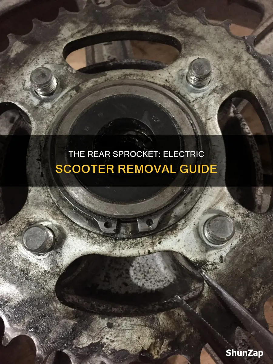 how to remove rear sprocket electric scooter