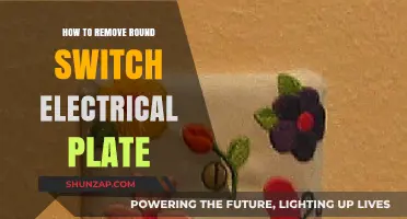 Removing Round Switch Electrical Plates: A Step-by-Step Guide