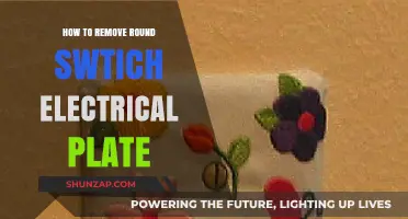 Easy Steps to Remove Round Switch Electrical Plate