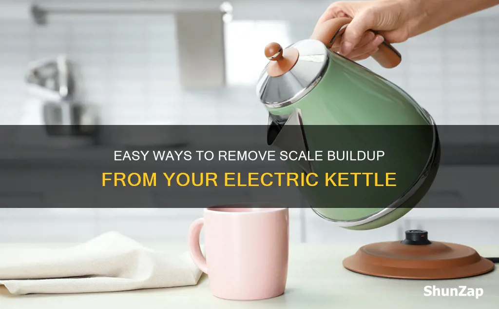 how to remove scale from electric kettle