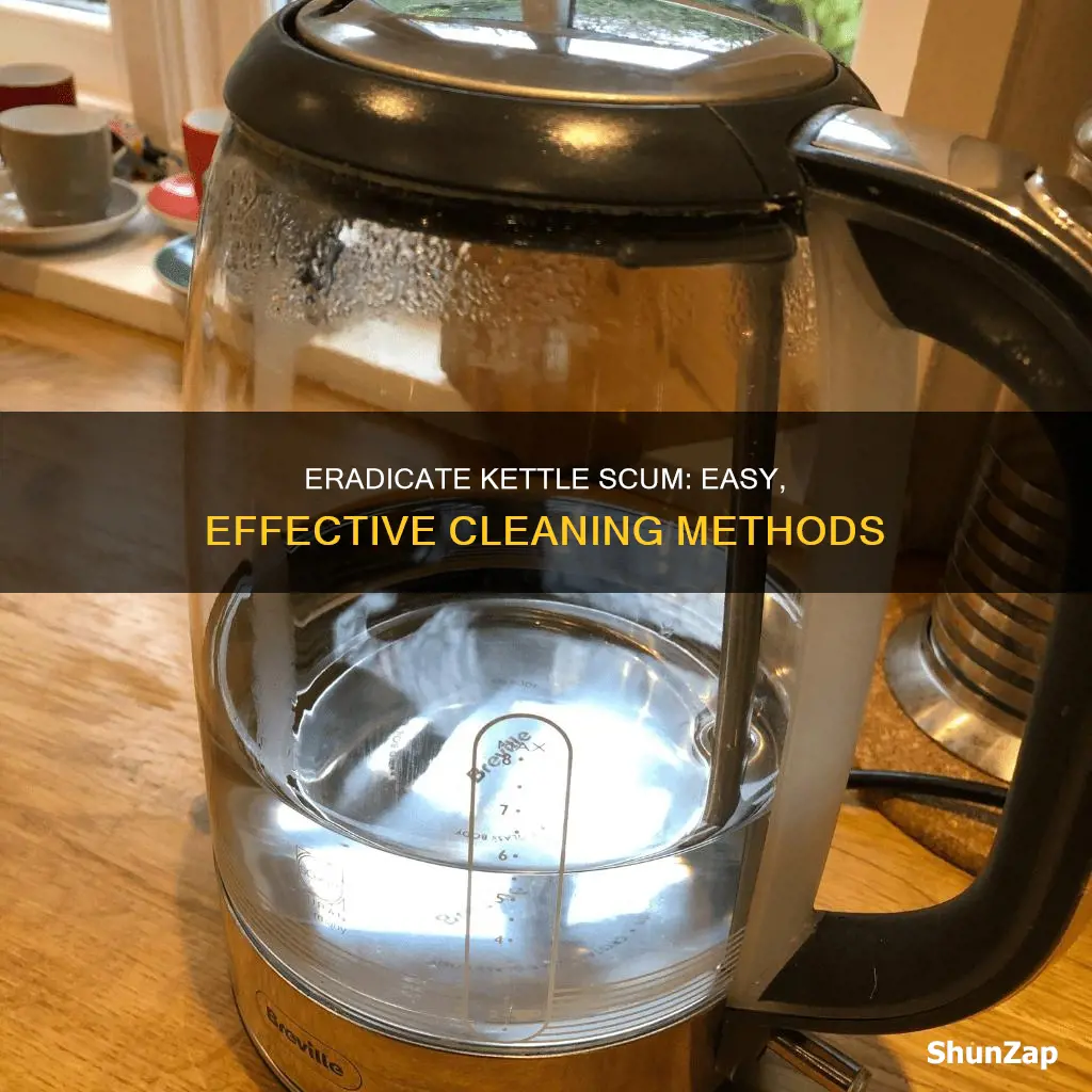 how to remove scum from electric kettle