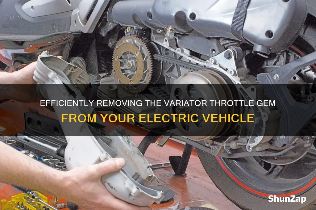 how to remove varior throttle gem electric car