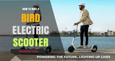 Renting Bird Electric Scooters: A Step-by-Step Guide