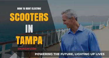 Tampa Electric Scooter Rentals: Everything You Need to Know