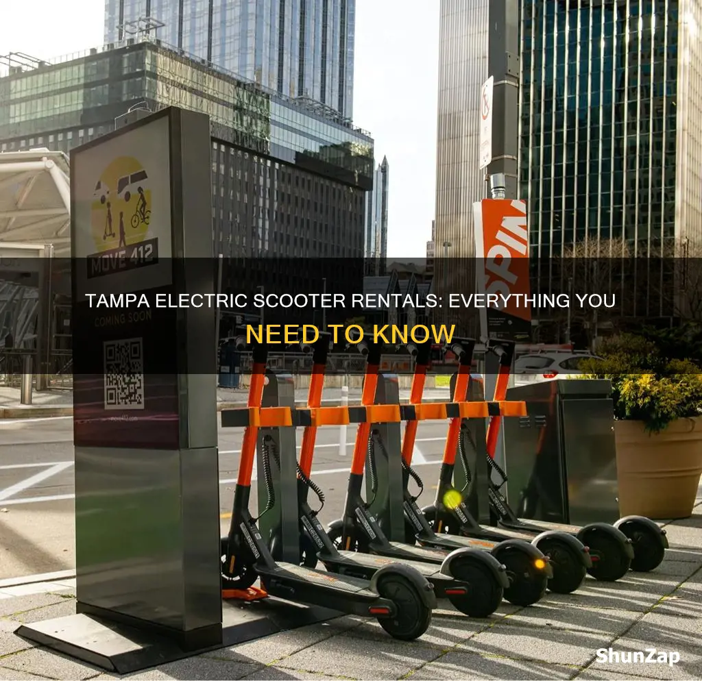 how to rent electric scooters in tampa